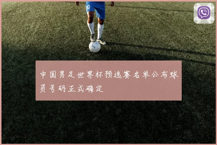 中国男足世界杯预选赛名单公布球员号码正式确定