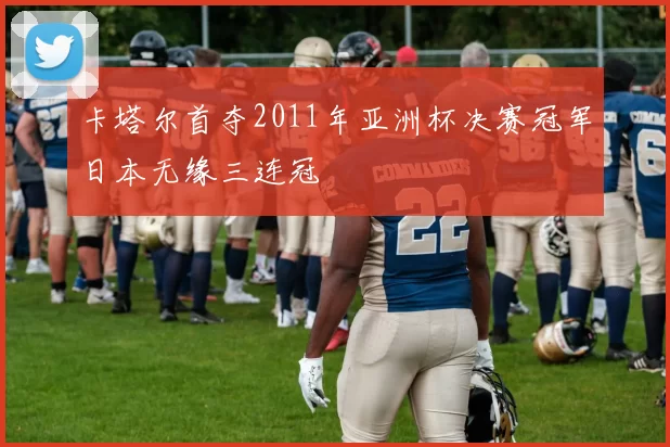 卡塔尔首夺2011年亚洲杯决赛冠军日本无缘三连冠