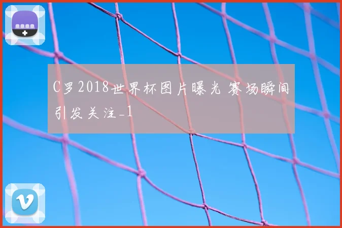 C罗2018世界杯图片曝光 赛场瞬间引发关注_1